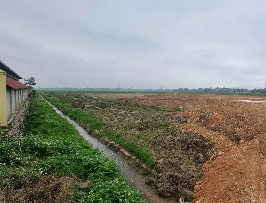 Công ty dệt may Thăng Long bị phạt 180 triệu đồng vì san lấp trái phép đất nông nghiệp