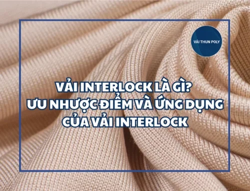 Vải Interlock là gì? Ưu nhược điểm và ứng dụng của vải Interlock