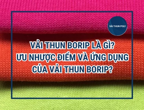 Vải thun Borip là gì? Ưu nhược điểm và ứng dụng của Vải thun Borip?